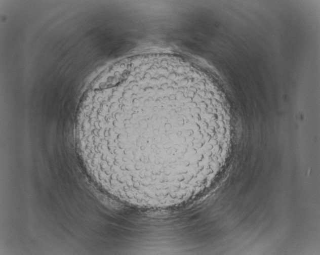 X0000076221220200611160951
