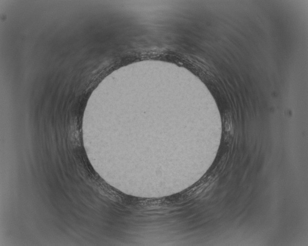X0000076221252200611160950