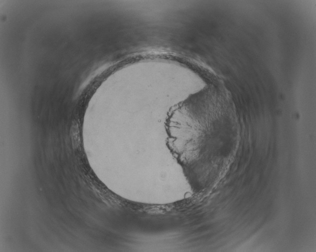 X0000076221255200611160950