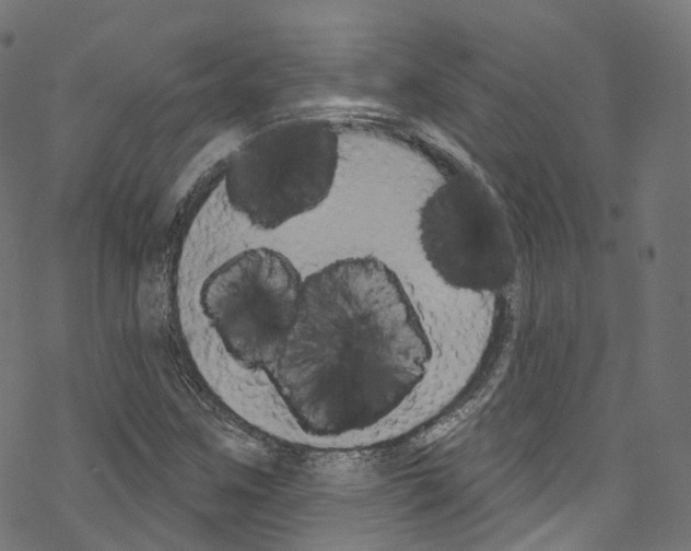 X0000076221259200611160950