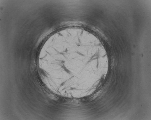 X0000076221261200611160950