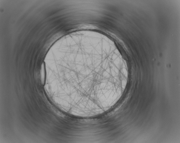 X0000076221281200611160950