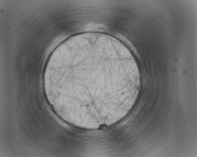 X0000076221285200611160950