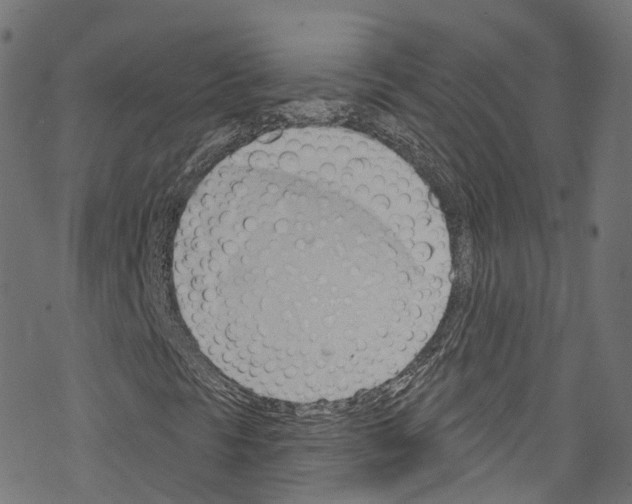 X0000076221297200611160949
