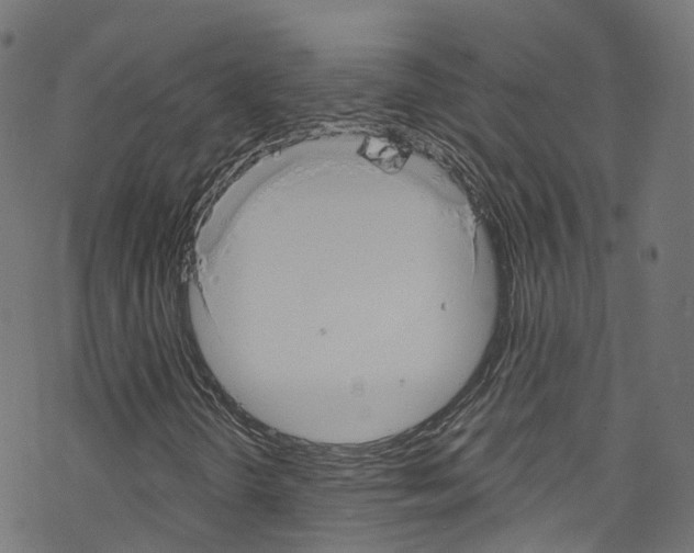 X0000076221298200611160949