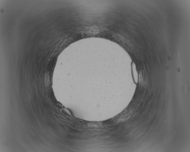 X0000076221299200611160949