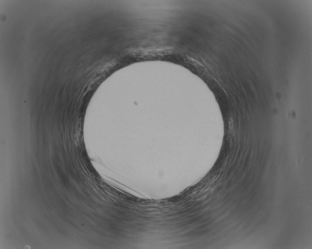 X0000076221300200611160949