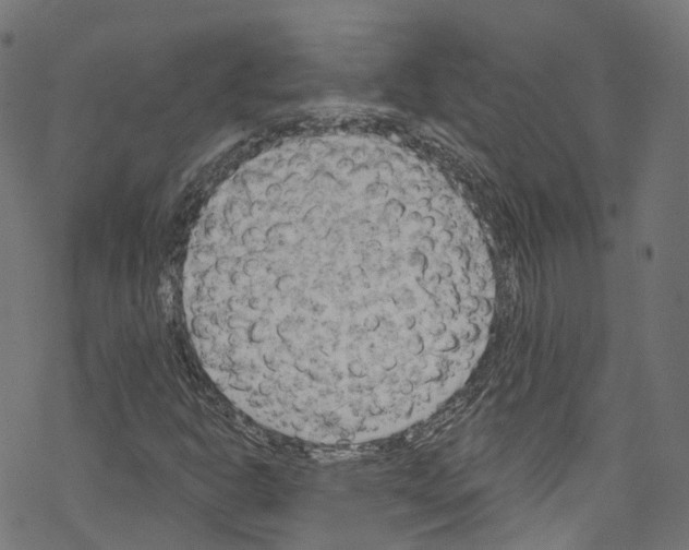 X0000076221302200611160949