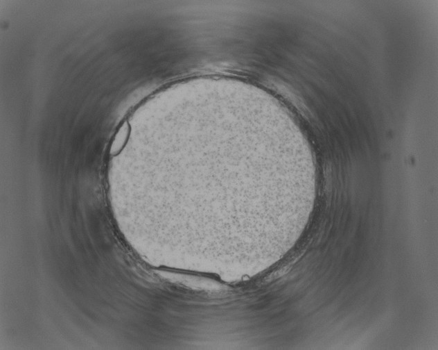 X0000076221308200611160949