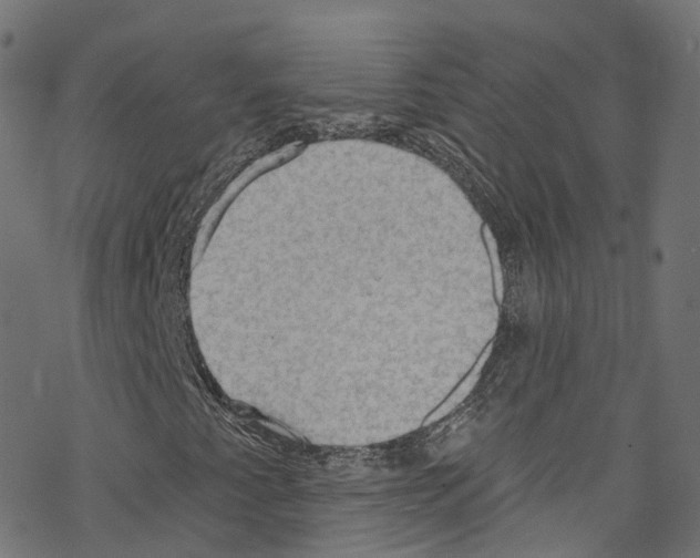 X0000076221345200611160949