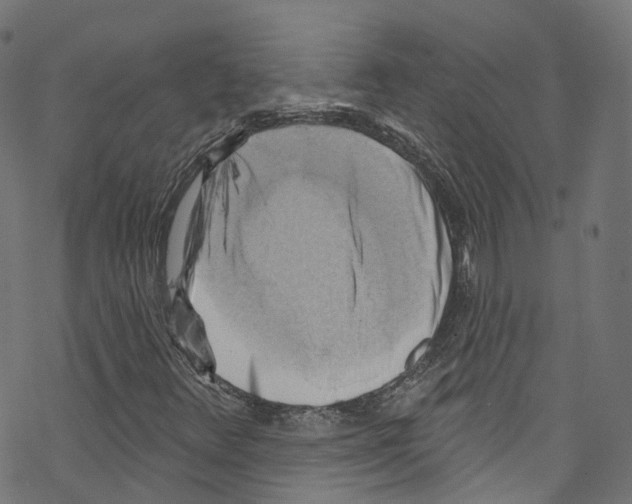 X0000076221348200611160949