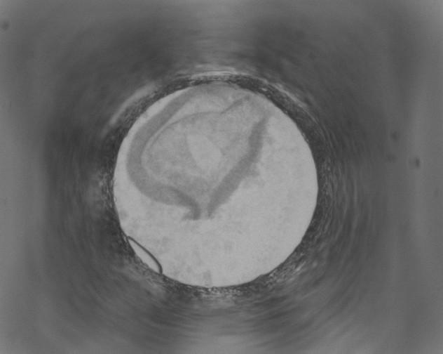 X0000076221351200611160949