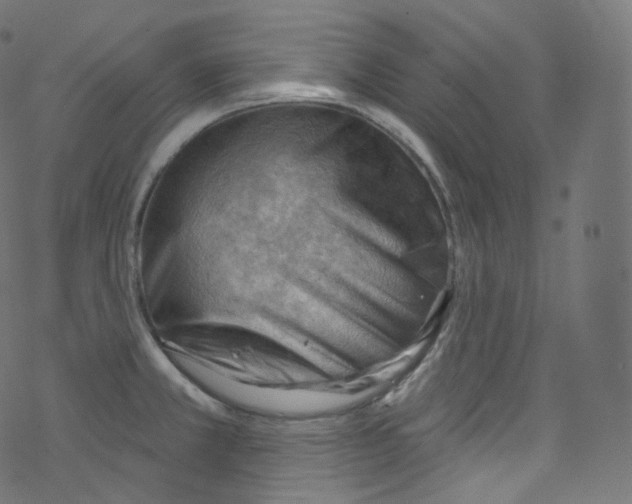 X0000076221381200611160948