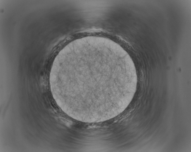 X0000076221398200611160947
