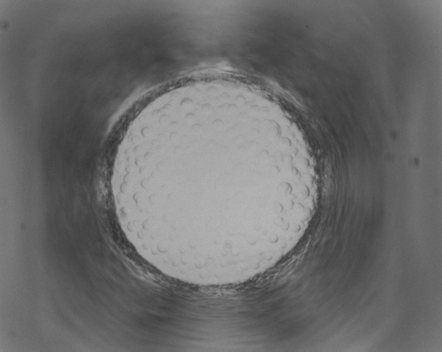 X0000076221400200611160947