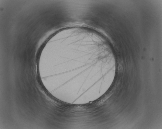 X0000076221414200611160948