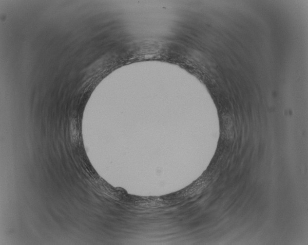 X0000076221442200611160947
