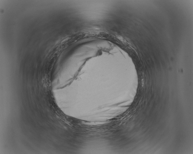 X0000076221445200611160947