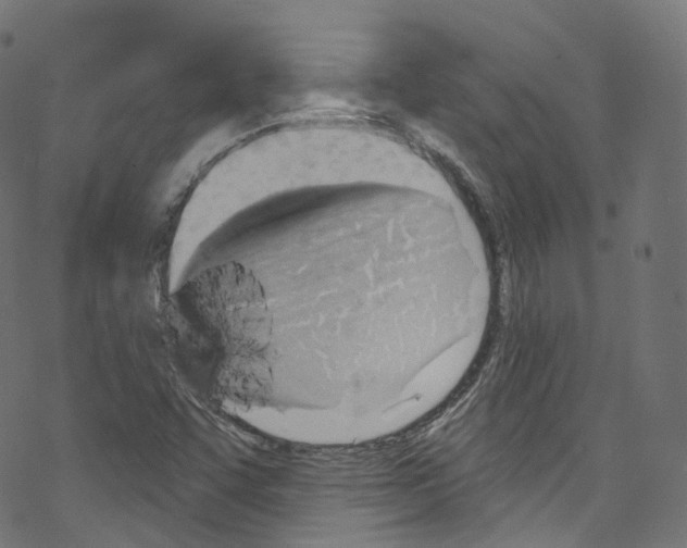 X0000076221455200611160947
