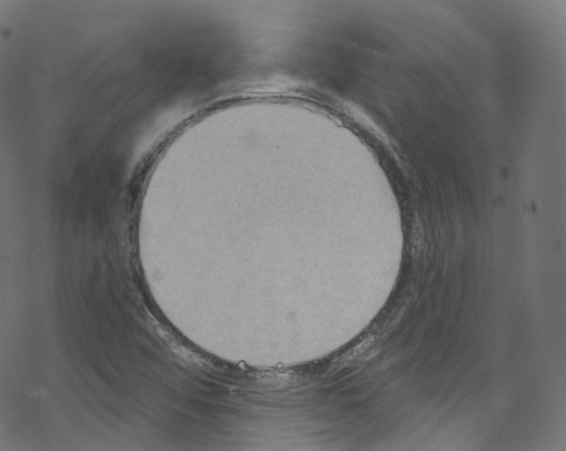 X0000076221456200611160947