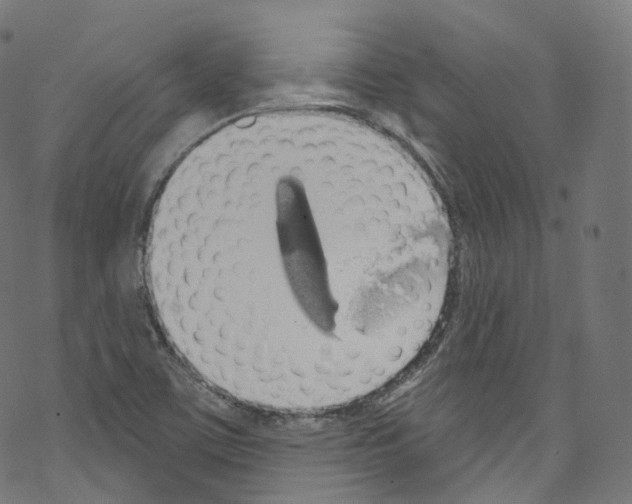 X0000076221459200611160947