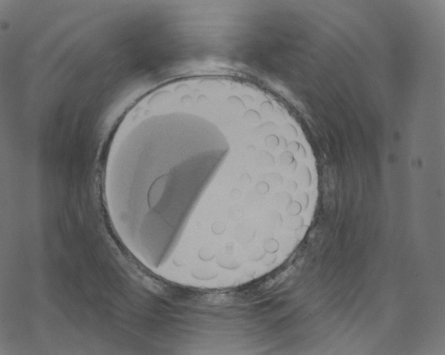 X0000076221463200611160947