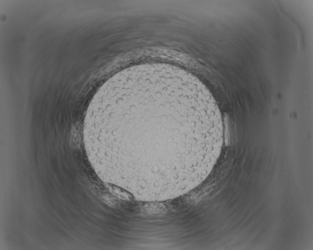 X0000076221491200611160946
