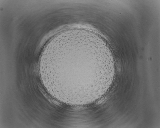 X0000076221499200611160946