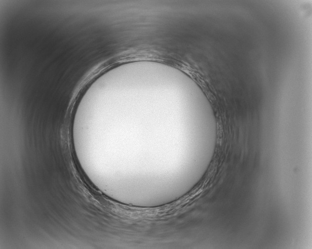 X0000076230004200609280959
