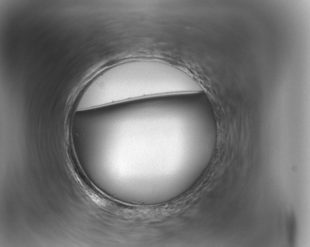 X0000076230005200609280959