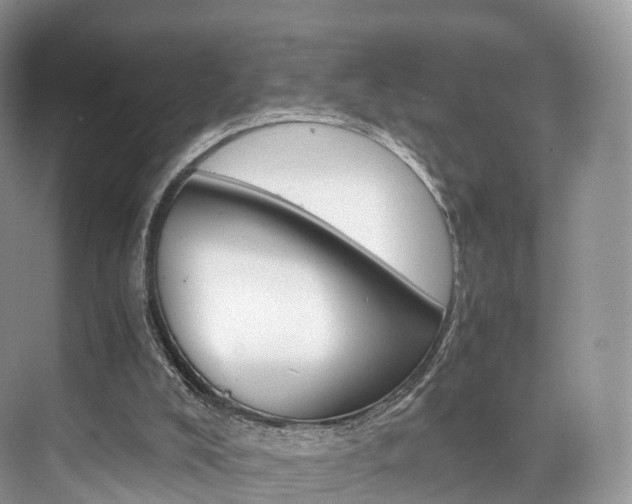 X0000076230008200609280959