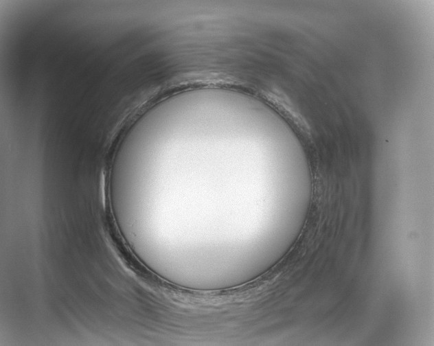 X0000076230014200609280959