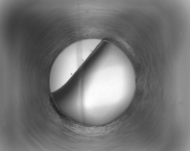 X0000076230027200609280959