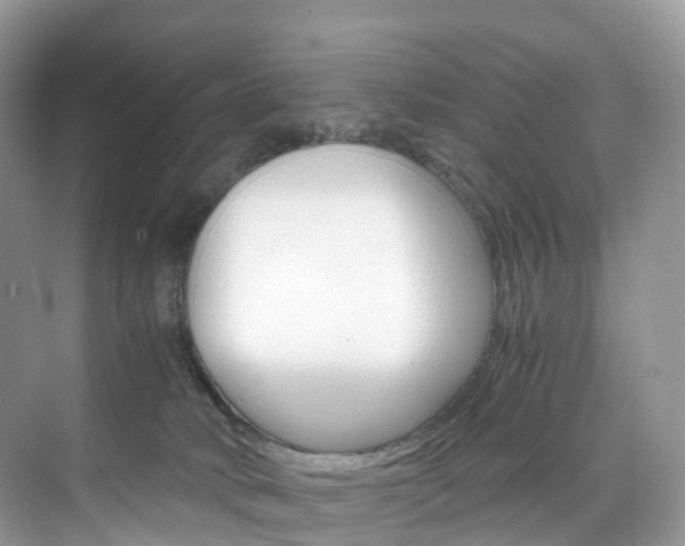 X0000076230034200609280959