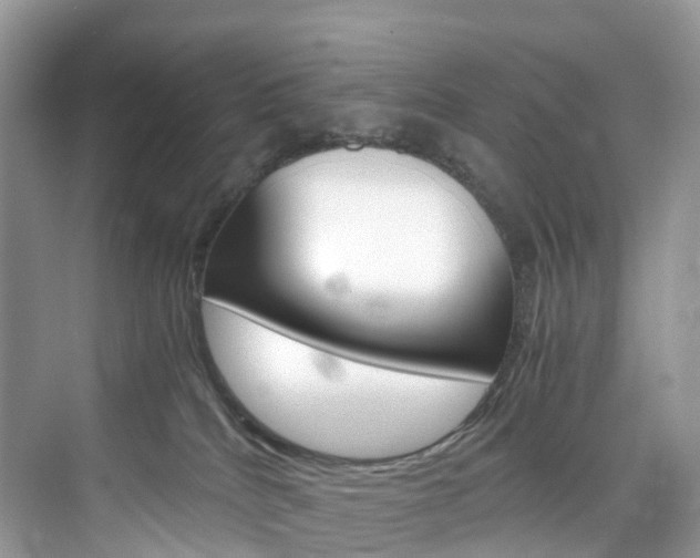 X0000076230040200609280959