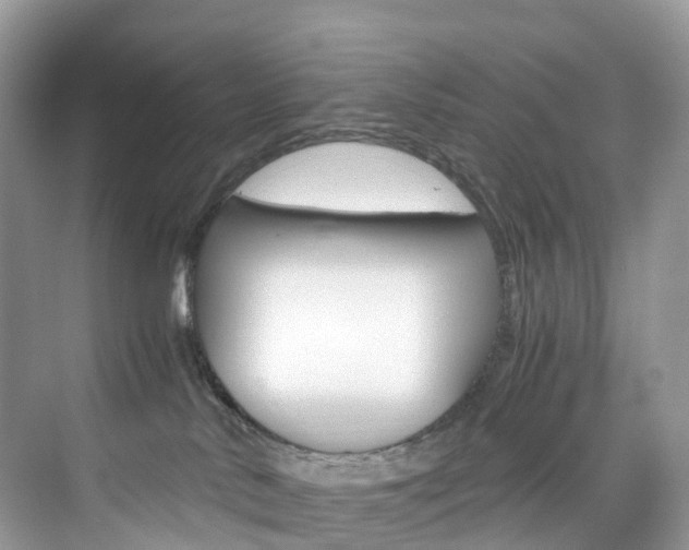 X0000076230042200609280958
