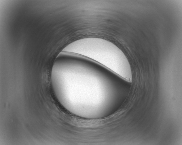 X0000076230044200609280958