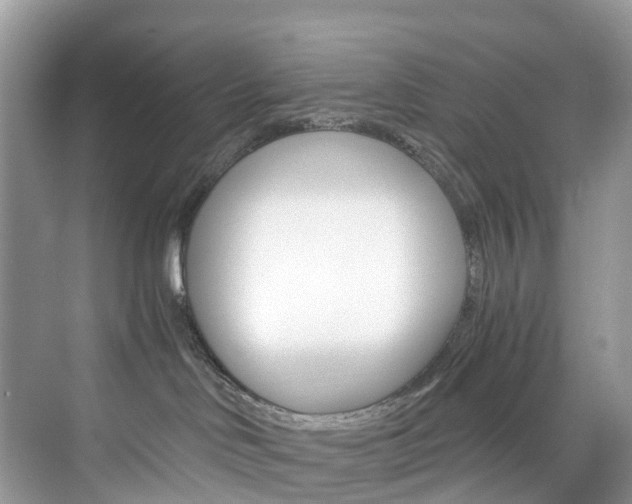 X0000076230046200609280958