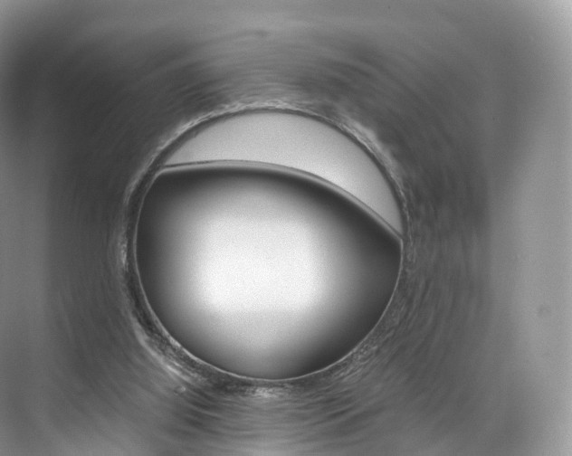 X0000076230060200609280958