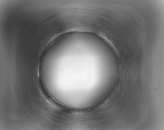 X0000076230062200609280958