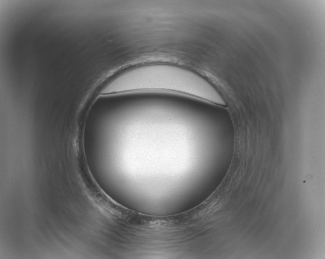 X0000076230064200609280958