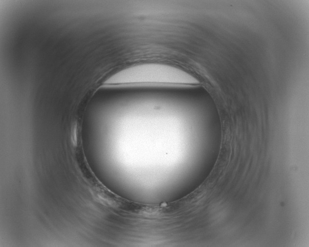 X0000076230076200609280958