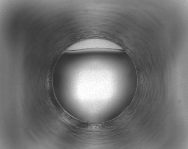 X0000076230080200609280958