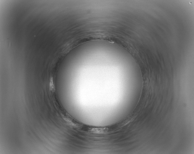 X0000076230089200609280958
