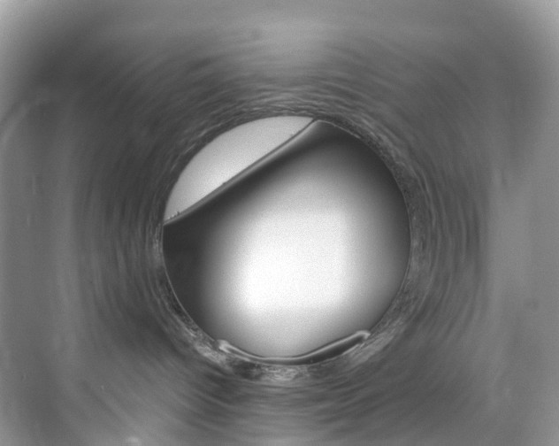 X0000076230096200609280958