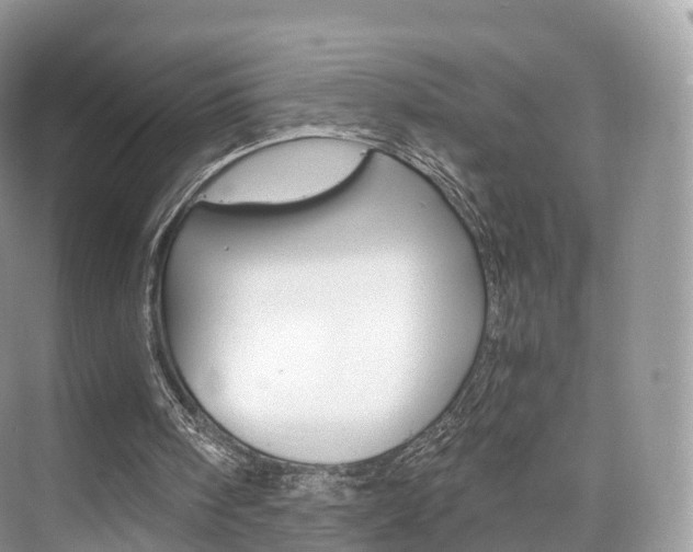 X0000076230098200609280958