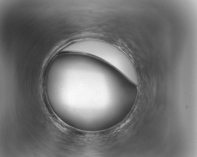 X0000076230101200609280957