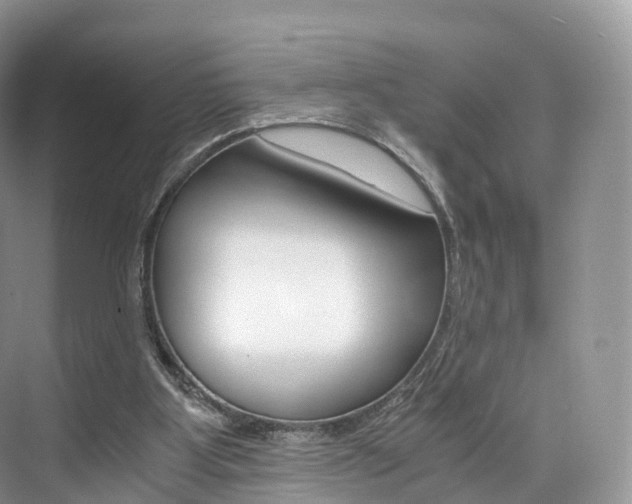 X0000076230107200609280957