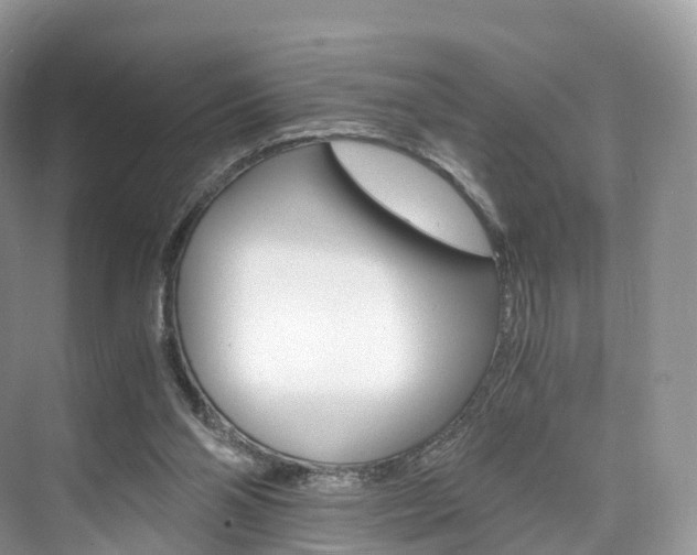 X0000076230110200609280957