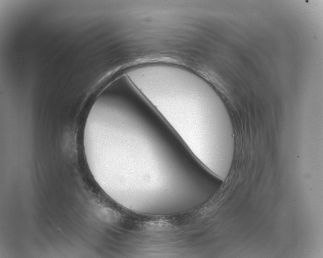 X0000076230112200609280957